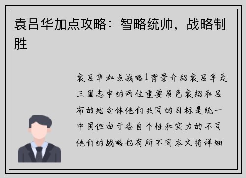 袁吕华加点攻略：智略统帅，战略制胜